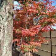 ヒメ日記 2025/12/01 16:39 投稿 体験 ゆみ夫人 吉野ケ里人妻デリヘル 「デリ夫人」