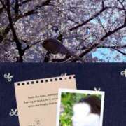 ヒメ日記 2026/04/03 14:20 投稿 あずさ 性腺熟女100％鶯谷（デリヘル市場）