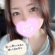 ヒメ日記 2026/05/28 09:21 投稿 めい 千葉北インターちゃんこ