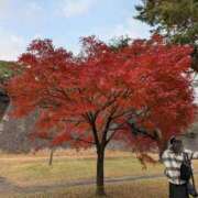 みこと こんにちは♥ 奥鉄オクテツ東京店（デリヘル市場）