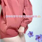 ヒメ日記 2025/11/08 23:34 投稿 すみれ マダム西船橋