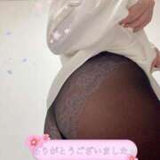 ヒメ日記 2026/01/07 08:54 投稿 すみれ マダム西船橋