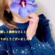 ヒメ日記 2026/02/10 00:03 投稿 すみれ マダム西船橋