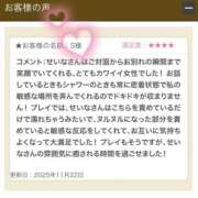ヒメ日記 2025/11/27 12:05 投稿 せいな 錦糸町人妻セレブリティ（ユメオト）