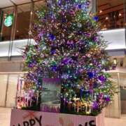 せいな キラキラ💖 錦糸町人妻セレブリティ（ユメオト）