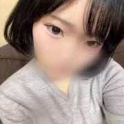 ヒメ日記 2025/11/05 14:02 投稿 にこ C.C.CATS