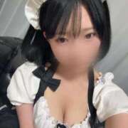 ヒメ日記 2025/11/08 11:22 投稿 にこ C.C.CATS