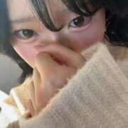 ヒメ日記 2025/11/22 16:22 投稿 にこ C.C.CATS