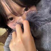 ヒメ日記 2025/12/05 12:42 投稿 にこ C.C.CATS