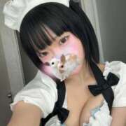 ヒメ日記 2026/01/24 13:03 投稿 にこ CCキャッツ
