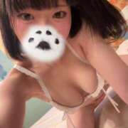 ヒメ日記 2026/01/29 22:22 投稿 にこ CCキャッツ