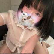 ヒメ日記 2026/01/30 15:03 投稿 にこ CCキャッツ