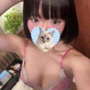 ヒメ日記 2026/01/31 01:43 投稿 にこ CCキャッツ