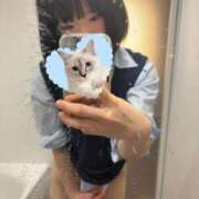 ヒメ日記 2026/01/31 18:42 投稿 にこ CCキャッツ