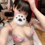 ヒメ日記 2026/02/14 01:22 投稿 にこ CCキャッツ