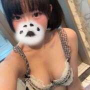 ヒメ日記 2026/02/19 15:22 投稿 にこ CCキャッツ