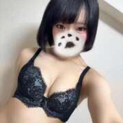 ヒメ日記 2026/02/25 15:22 投稿 にこ CCキャッツ