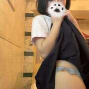 にこ 募集中♡ CCキャッツ