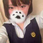 にこ 現役みたいでしょ CCキャッツ