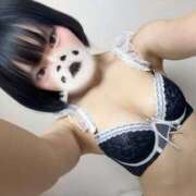 ヒメ日記 2026/03/05 15:42 投稿 にこ CCキャッツ