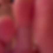 ヒメ日記 2026/03/10 22:22 投稿 にこ CCキャッツ