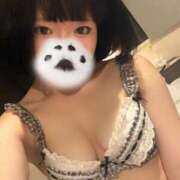 ヒメ日記 2026/03/19 20:02 投稿 にこ CCキャッツ