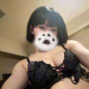 ヒメ日記 2026/04/07 12:22 投稿 にこ CCキャッツ