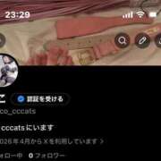 ヒメ日記 2026/04/10 23:41 投稿 にこ CCキャッツ