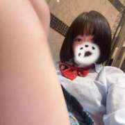 ヒメ日記 2026/04/13 19:02 投稿 にこ CCキャッツ