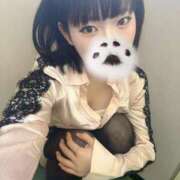 ヒメ日記 2026/05/14 12:22 投稿 にこ CCキャッツ