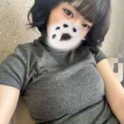 ヒメ日記 2026/05/19 16:21 投稿 にこ CCキャッツ