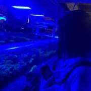 ヒメ日記 2025/11/05 12:40 投稿 みれい シルクハット