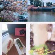 ヒメ日記 2026/04/03 17:08 投稿 【新人】めぐ 神奈川小田原ちゃんこ