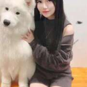 ヒメ日記 2026/01/07 12:01 投稿 のどか Gossip girl