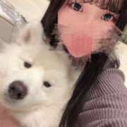 ヒメ日記 2026/01/09 02:00 投稿 のどか Gossip girl