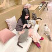 ヒメ日記 2026/01/11 15:00 投稿 のどか Gossip girl