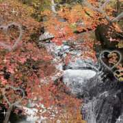 ヒメ日記 2025/11/11 02:43 投稿 なおみ One More 奥様　錦糸町店