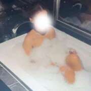 ヒメ日記 2025/12/23 23:27 投稿 なおみ One More 奥様　錦糸町店