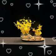 なおみ 出勤♡ One More 奥様　錦糸町店