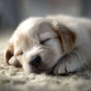 ヒメ日記 2025/11/13 22:21 投稿 黒木 HERMINE-エルミネ-