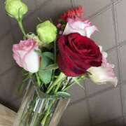 ヒメ日記 2025/11/14 21:29 投稿 黒木 HERMINE-エルミネ-