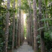 ヒメ日記 2025/12/11 09:42 投稿 黒木 HERMINE-エルミネ-