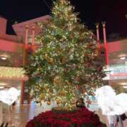 ヒメ日記 2025/12/25 08:12 投稿 黒木 HERMINE-エルミネ-