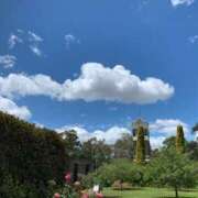 ヒメ日記 2025/12/26 11:13 投稿 黒木 HERMINE-エルミネ-