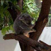 ヒメ日記 2026/01/10 04:42 投稿 黒木 HERMINE-エルミネ-