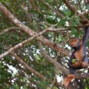 ヒメ日記 2026/01/11 00:12 投稿 黒木 HERMINE-エルミネ-