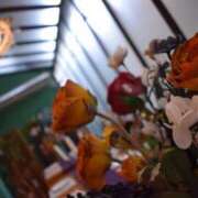 ヒメ日記 2026/01/12 07:33 投稿 黒木 HERMINE-エルミネ-