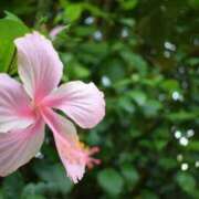 ヒメ日記 2026/01/16 10:26 投稿 黒木 HERMINE-エルミネ-