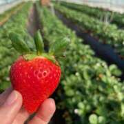 ヒメ日記 2026/01/24 10:13 投稿 黒木 HERMINE-エルミネ-