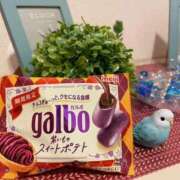 ヒメ日記 2026/02/15 23:09 投稿 黒木 HERMINE-エルミネ-